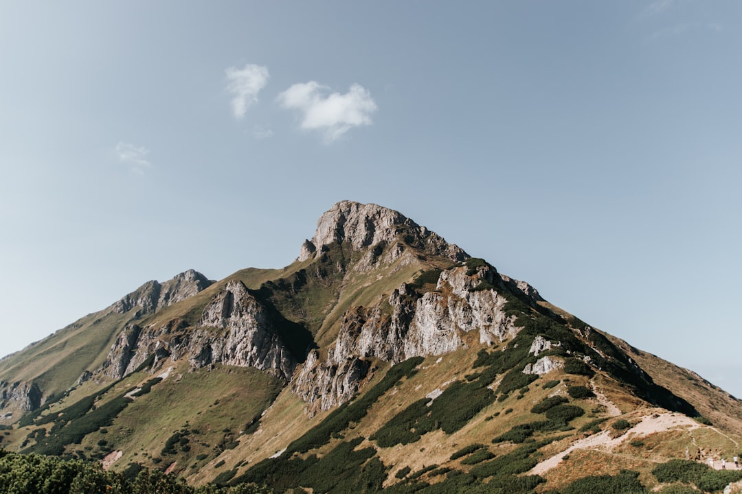 Gradient Boosting and XGBoost: Why It Keeps Winning