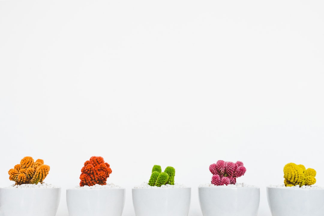 k-Means Clustering, Explained